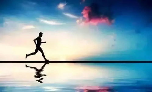 道家思想：和谐共生的生态伦理