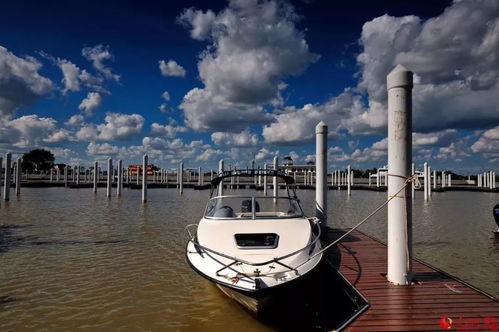 门票价格：直接抢银行比较快