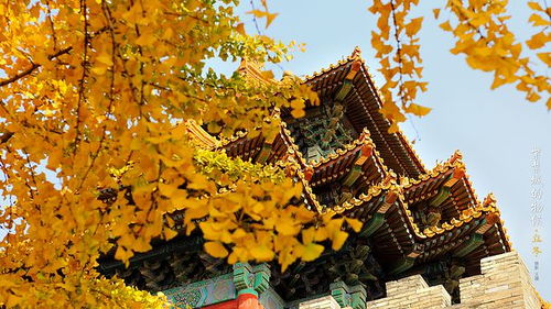 2.1 文雅与轩昂的平衡