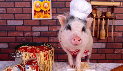 猪和蛇在一起是否合适，从生物习性、文化寓意等多方面考量？