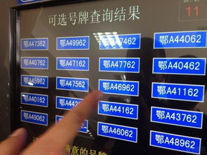 车牌号2968吉凶如何，五行对照表上显示是什么？