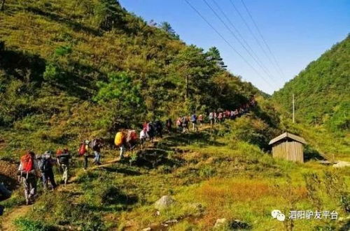 六、回家后的“大型真香现场”：记忆的自我美化