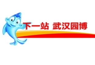 特别提醒：这一些隐藏规则你必须要了解！