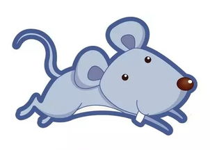 一飞冲天打一动物，是什么？