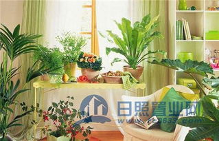 八、 植物物种选择的毒理学警示