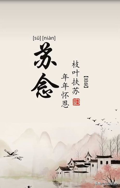 中国古典诗词中的名字， 往往意境较深远又韵味悠较长
