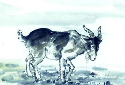 属羊者2026年运势走向如何？运势图预测会有哪些变化？