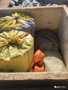 家里种植何首乌对风水有影响吗？九蒸九晒何首乌有什么功效？