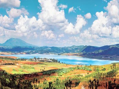 太平湖森林公园:免费玩但别周末去!