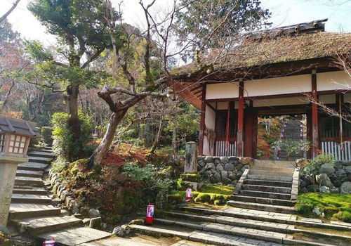 2. 台阶数量与象征意义