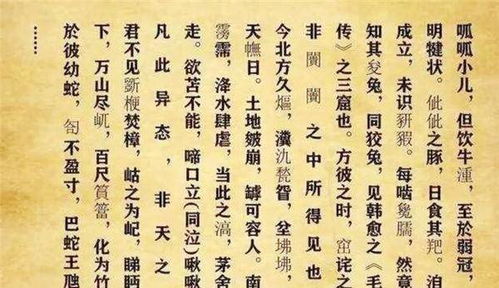 《大智度论·解了诸法释论》中的五种“見”