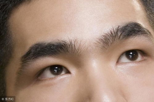 眉毛与财运的关系