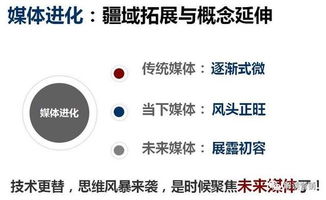 一、 产品设计层面的差异化与个性化构建