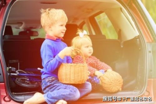 猴年的特殊性：跳脱与智慧