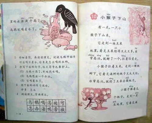 （二） 书籍与羽绒服的意象解码