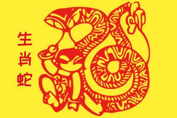 通宵达旦的生肖是什么？打一生肖动物，？