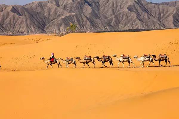 第三章：抵达前的“心理暗号”检查表🛎️
