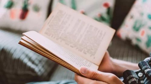 现代生活节奏下的国学教育传承策略