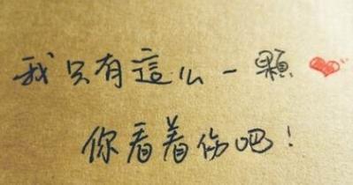 操作流程与实施要点