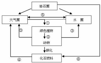 五、 更多媒体平台资源条件与现代化传播渠道对“三奇六仪”教学的辅助作用