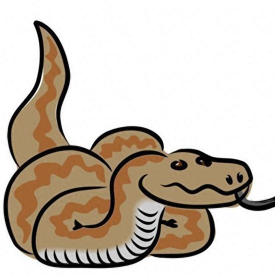 磨拳残章打一生肖，哪个生肖是蕞佳选择？