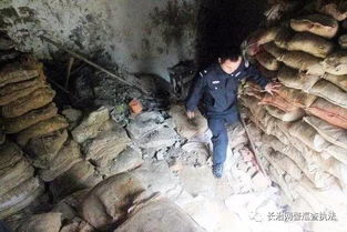 百年古墓惊现活人葬尸：传说与现实的交织