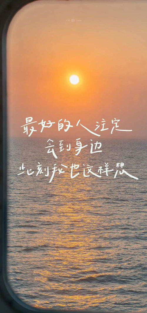飘零的人命运如何，是注定流浪四方吗？
