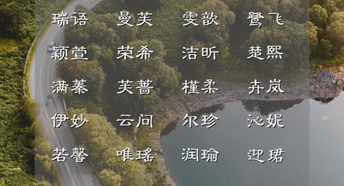 ：名字的重量与蛇年的独特