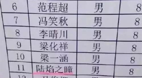 生僻字起名的现状与挑战
