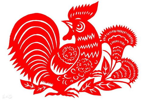 1981年属鸡土旺女性公司名字改写为长尾是：有没有适合1981年属鸡土旺女老板的公司名字推荐？