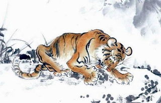 属虎26年健康运势如何，2026年属虎人的健康状况怎样？