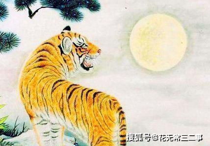 将虎口余生打一生肖，为哪个生肖的尾巴特长？