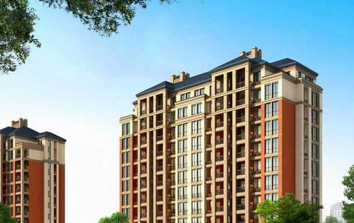 购房决策中的个体差异