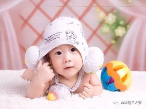 2026鸡年陈氏男宝宝名字大全有哪些推荐？