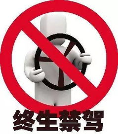 6. 禁止擅自食用祭品， 以免触犯幽灵规矩并招致厄运