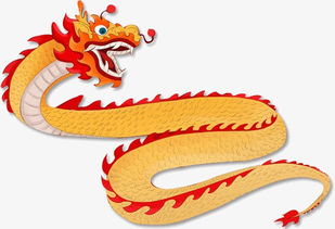 将水挂洞帘指什么生肖？生肖水是什么意思？