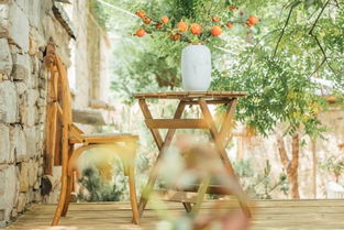 ：树下悬网与清风拂面的复合感受