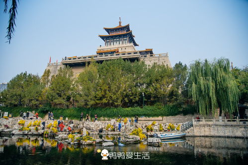 2. 趵突泉：泉水叮咚，美得不像话