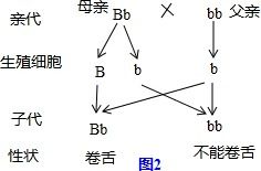 2. 分类探究：居家、 阴宅及办公场所之差异化应用
