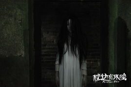 二、 文化底蕴符号：镜子作为边界与媒介