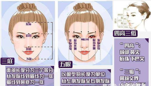 眼睛作为心灵窗户的重要性及其整形导向