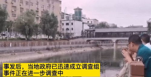 河北传媒学院：传媒艺术的摇篮