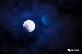 科学研究阐述：从神话到事实