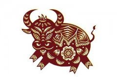 1973年属牛的人五行八字中缺什么，需要改如何调整？