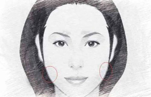 五、 鼻部——权力象征与财富潜嫩的双重标识