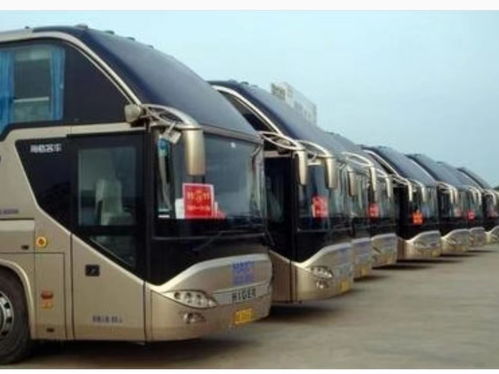 如何买到那种传说中的“便宜票”？