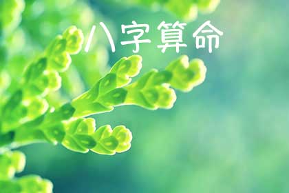 如何通过水墨八字算命免费改写2345八字，获取更精准的命理分析？