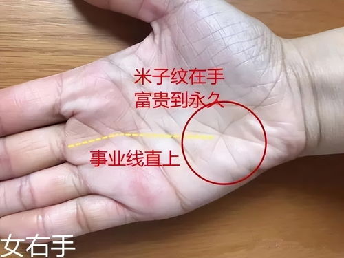 一、 财帛纹——进财机遇的象征