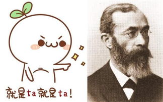 3. 西方心理学视角：弗洛伊德精神分析与集体无意识