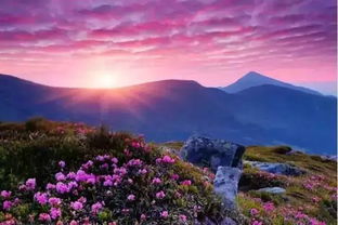 四、住宿：从天堂到地狱的瞬间